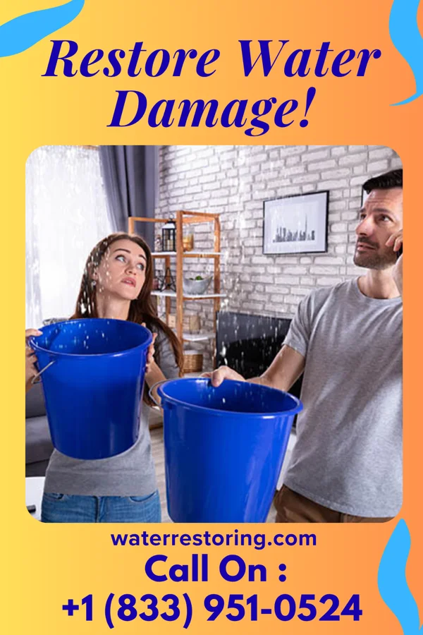 water restoration Royal Cleanup Inc Dauphin