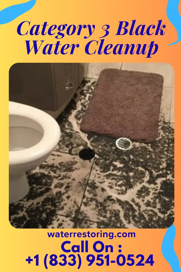 Category 3 Black Water Cleanup in Dauphin, PA