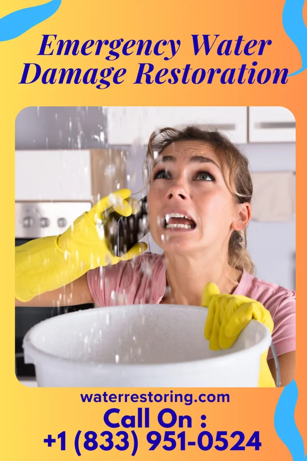 Emergency Water Damage Restoration in Dauphin, PA