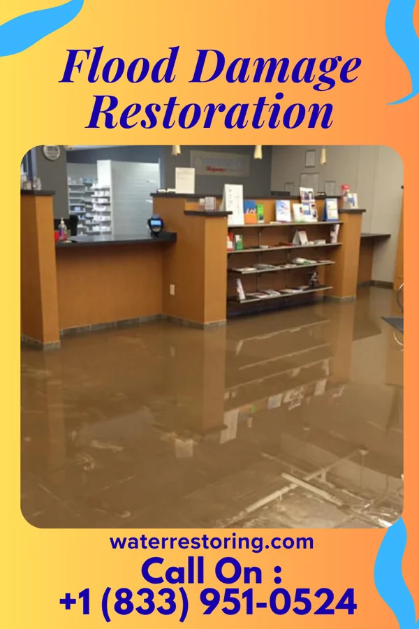 Flood Damage Restoration in Dauphin, PA