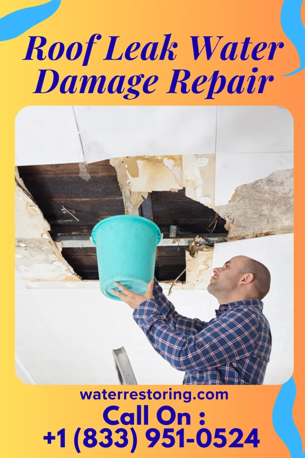 Roof Leak Water Damage Repair in Dauphin, PA