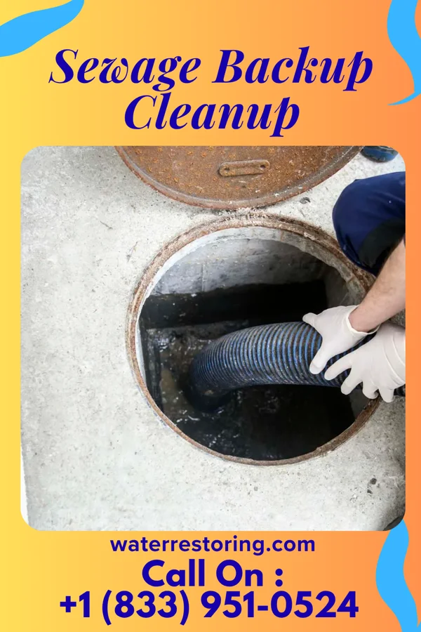 Sewage Backup Cleanup in Dauphin, PA