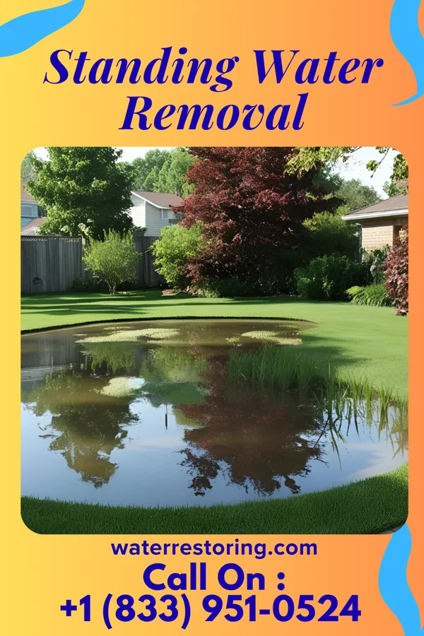 Standing Water Removal in Dauphin, PA
